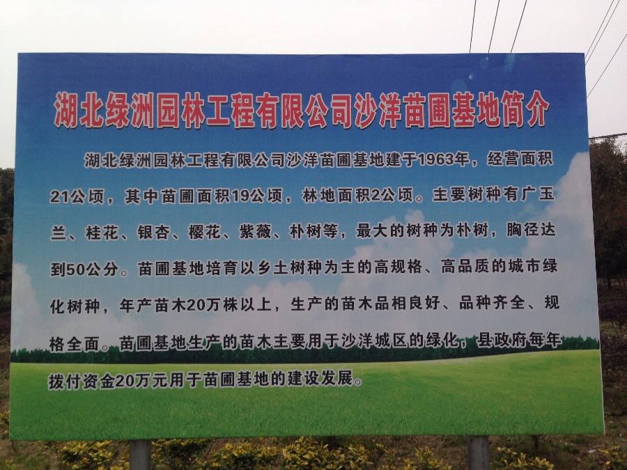 安博官方网页版沙洋苗圃基地